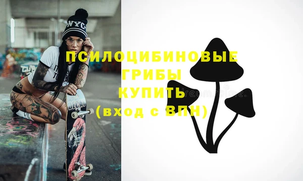 крисы Алексеевка