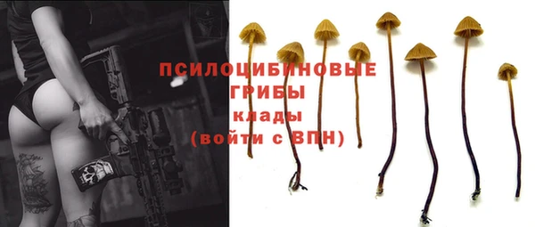 крисы Алексеевка